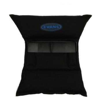 EVANS - Rgspad Resonance Gate System Pad