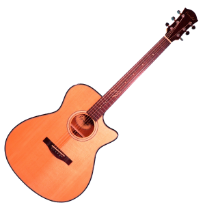 FARIDA - A-6ce Natural Chitarra Acustica Elettrificata