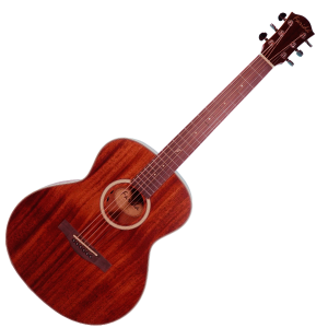 FARIDA -  G-6e Ns Chitarra Acustica Elettrificata