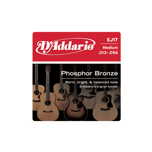 D'ADDARIO - Ej17 - Medium Muta Per Chitarra Acustica